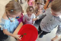 a96f73e6-1e72-417a-a28a-c93ff1b76195