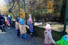 1f58528a-b2c0-4877-b442-f22cdc15153a