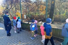 27687669-7345-4c8e-97f4-0d8d91f91b11