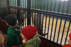 4d8153c9-9382-4882-b828-025287cfe821