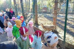 5a6191af-08c7-4b74-8733-5b1861d258b2