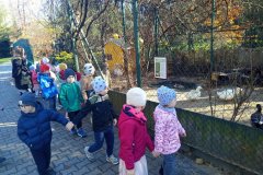 cf9e14c6-10b1-4dbb-b4ec-f473573a90cc