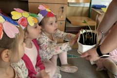 2bfc25ff-d755-4f51-b394-2b3397736e96