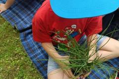 IMG_20250606_134133