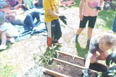 IMG_20250606_140539