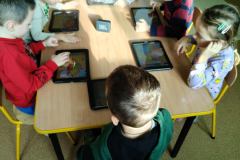 733bc0c9-d2c7-4fb1-abef-6b032cabfba3