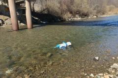 IMG_20250321_114534