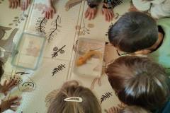 56608a0f-ca9f-4357-b555-e773c1460c83