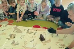 58df64d3-b62d-4e5b-a316-62bcca49c5a5