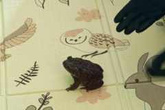 f8bdc49b-f89c-43cb-818a-5fc8e0e29271