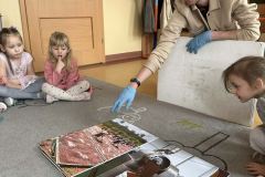 75b01bfa-5c1c-481f-90d7-0fe4ef97f284