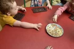 9f6d8188-9902-49e4-98e8-59a44d8c3221