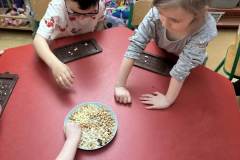 d0b55d9b-caa5-4a37-a4cd-67352e58794d