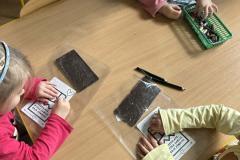 ff1cf13c-26fe-4b34-9a90-4453fd5d69b7