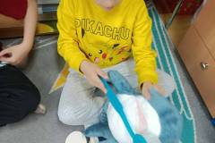 c2fa2b5b-67f1-45ec-b28c-f442d2c57055