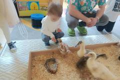 02dc979a-a0d3-48c9-8ffb-01169e1d76d5