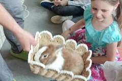 07d214b4-1a69-4bc6-97d4-a9c7e8b0dcaa