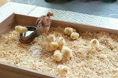 1bf90fbf-5696-48ce-bd2c-24ae9e040929