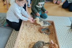 75ffe6c5-9aad-44bd-a8cd-6322255829be