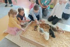 83f730e9-a8f1-4dbf-badb-8c2ab60ef65d