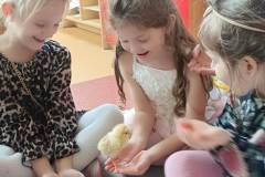 93d004fb-8c6f-4b7f-9d6e-81d1dfea2f75