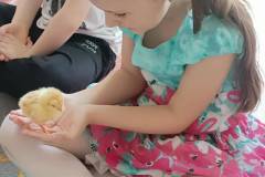 cffd4ab2-7dee-40ec-a01e-b70630711e3b