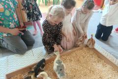 f627bd15-82cb-4bea-bd87-2b844e8fa15c