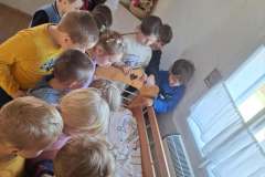 5ea3c991-e6b0-44dc-8f67-e8a46851c6a7